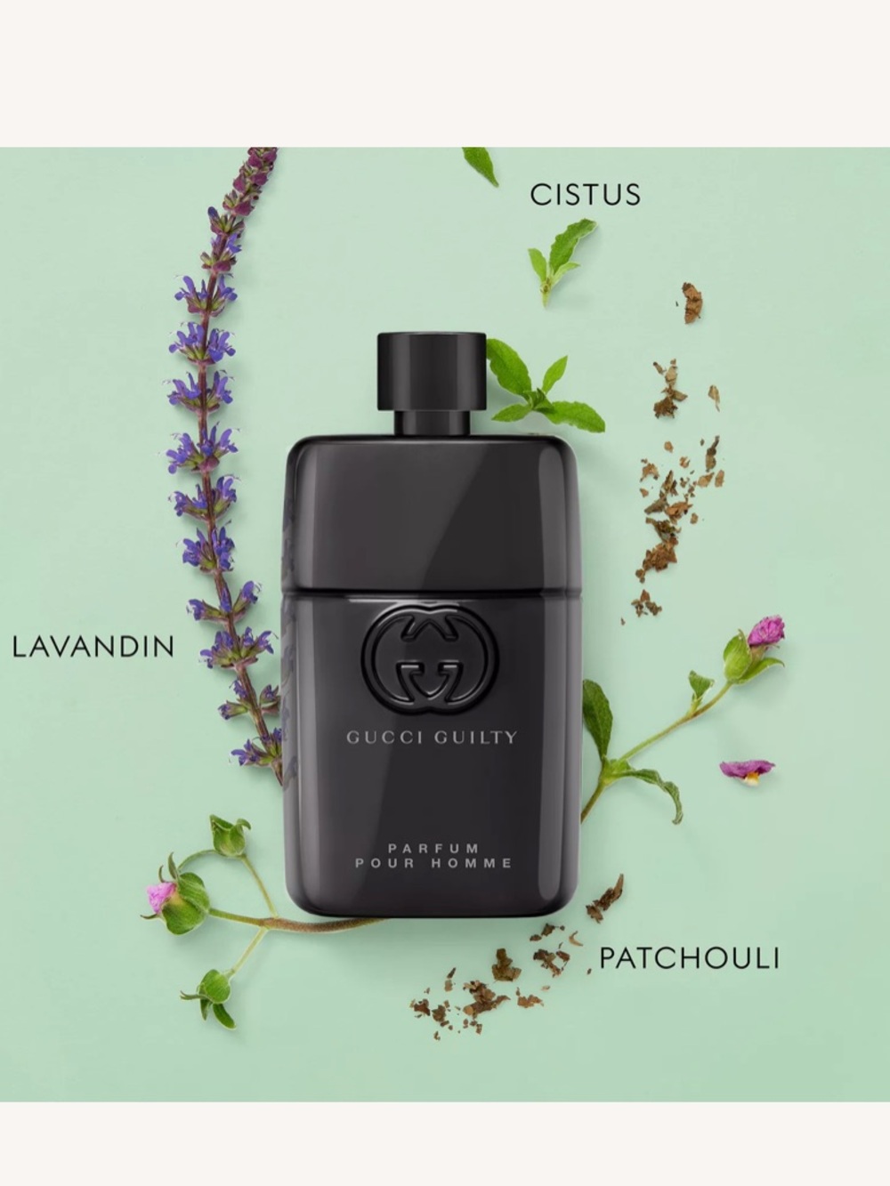 Gucci Guilty Pour Homme 1.6 fl oz